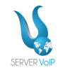 Logo ServerVoIP